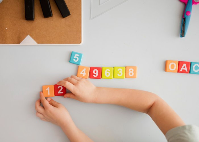 Numerical Understanding